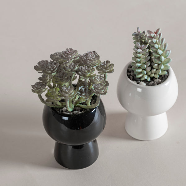 Set De Macetas Praga