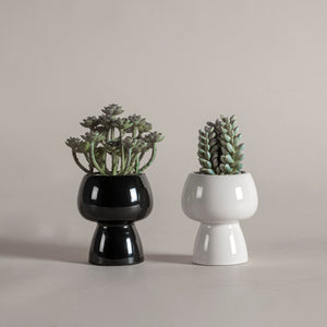 Set De Macetas Praga