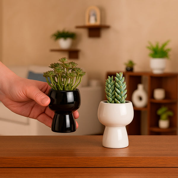 Set De Macetas Praga