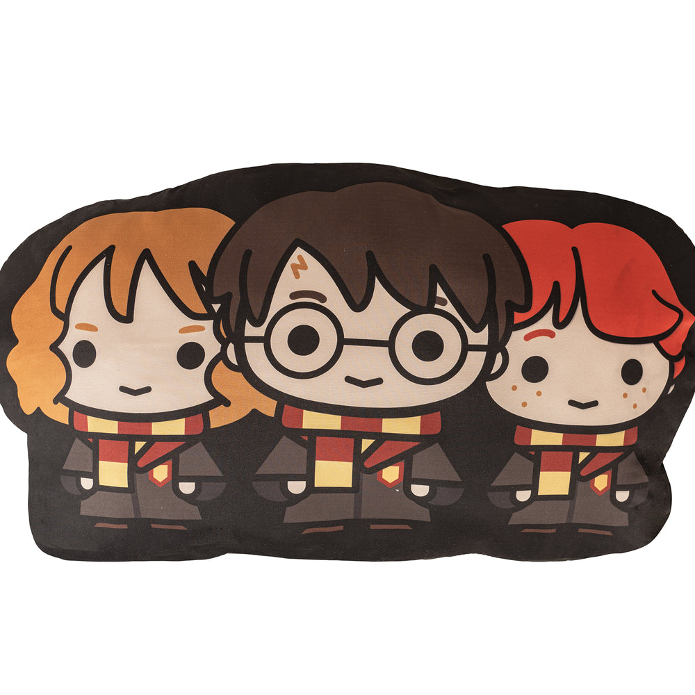 Cojín Gryffindor Friends XL