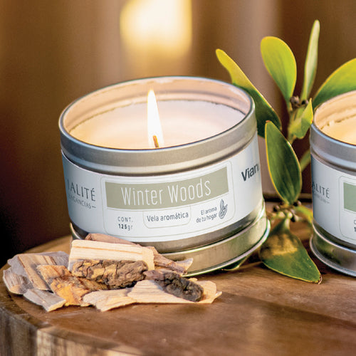 Vianney Home Velas Winter Woods 142 GR
